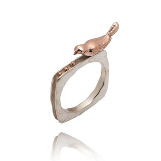 Bird ring