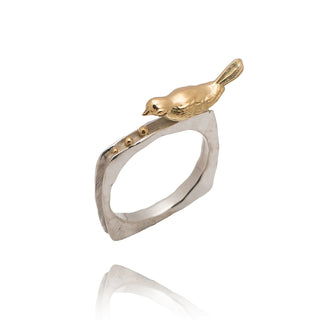 Bird ring