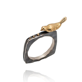 Bird ring