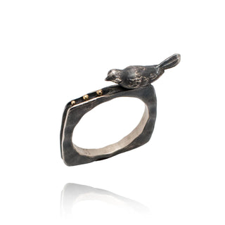 Bird ring